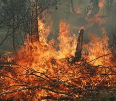 В Сибири – чудовищных масштабов лесные пожары. Молитвы не помогают